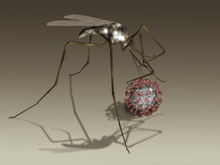 Mosquito and model of the Coviv-19 coronavirus. 3d rendering.