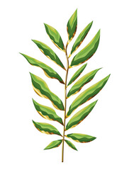 green leaves and big stem on white background
