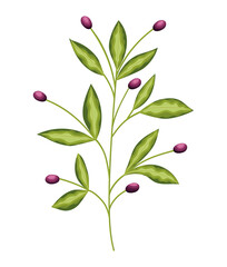 plant with many green leaves and purple flowers