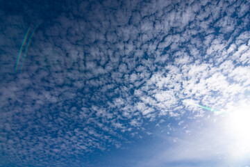 Fototapeta premium onde primo piano