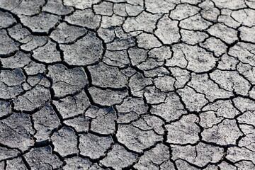 Dry cracked ground earth of desert texture background. Barren land, wasteland, drought cracked earth, global warming, greenhouse effect concept. Hot weather terrain with cracked ground, earth erosion
