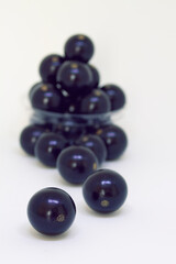jabuticaba do brasil