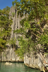 Lateral de montaña llena de arbustos sobre el mar de Coron en Filipinas 