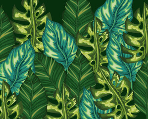 bundle of leaves over a black background