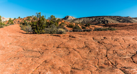 Petrified Sand Dunes With White Sandstone Mountains In The Distance, Snow Canyon State Park, Utah, USA