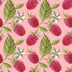 Seamless pattern with .raspberry berry. Watercolor illustration. The print is used for Wallpaper design, fabric, textile, packaging.
