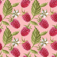 Seamless pattern with .raspberry berry. Watercolor illustration. The print is used for Wallpaper design, fabric, textile, packaging.