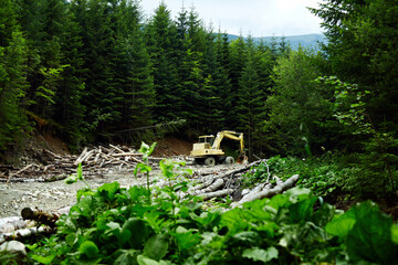 Deforestation in the Carpathian Mountains. The excavator destroys the forest. Illegal deforestation.