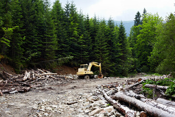 Deforestation in the Carpathian Mountains. The excavator destroys the forest. Illegal deforestation.