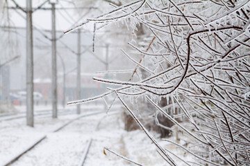 Frozen trees branches and train trail covered by ice after an ice storm. Winter landscape.