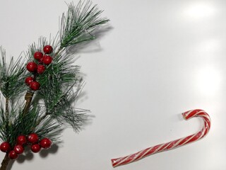 christmas background with branches and decorations