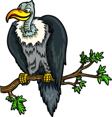 A vulture perched on the branch, carefully watching the prey