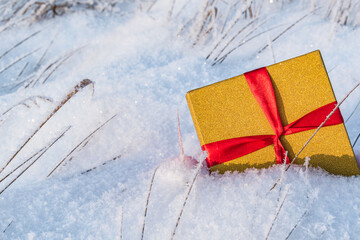 Gift with a ribbon in the snow located on the right.