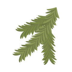 merry christmas pine leaves vector design