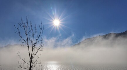 Blue sky with Sun rays over foggy lake, with single tree in wintertime 