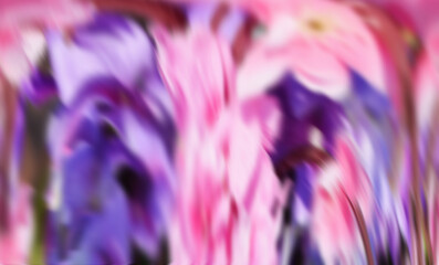 Fototapeta na wymiar Pink violet shades, texture, design, purple flower background