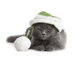 Cute cat wearing warm hat on white background. Concept of heating season