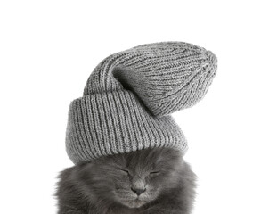 Cute cat wearing warm hat on white background. Concept of heating season