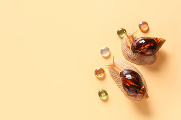 Two snails on color background
