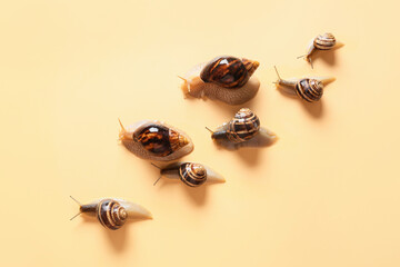 Many snails on color background