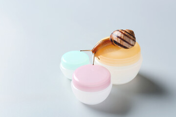 Snail and cosmetics on grey background