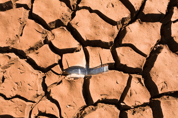 Old glass bottle partially buried in an arid soil in the bottom of a reservoir