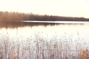 november park landscape, christmas snow weather, in a city park with a pond