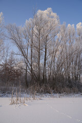 Breath of winter, first ice on the lake, dawn on a frosty morning with frost on the grass, close-up of frost, patterns on the first ice.