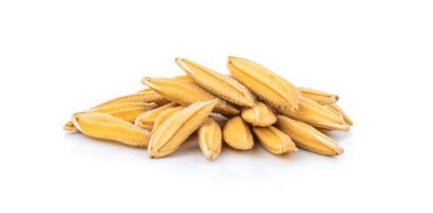 organic paddy rice of Thai jasmine rice isolated on white background