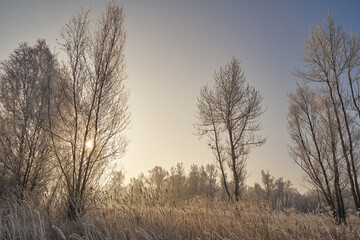 Breath of winter, first ice on the lake, dawn on a frosty morning with frost on the grass, close-up of frost, patterns on the first ice.