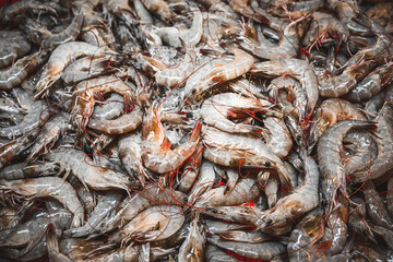 fresh prawn at the market
