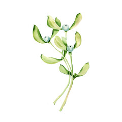 Meet me under the mistletoe. berries on sprig with leaf.