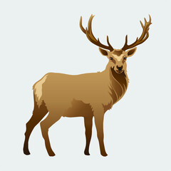 Fototapeta premium Reindeer vector