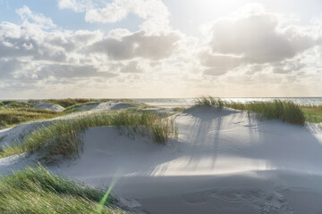 Dünen am Nordseestrand im Gegenlicht