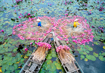 AN GIANG, VIETNAM - NOVEMBER 29, 2020: Vietnamese women displaying water lily flowers on the river - obrazy, fototapety, plakaty