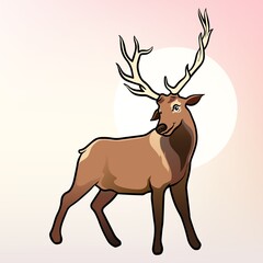 deer