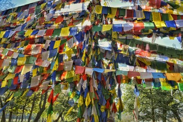 Fototapeta premium buddhist flags