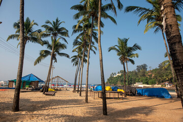  Goa, India- 11 November 2020, Beautiful view of beach of ocean with coconut trees at baga beach in Goa India  ......................