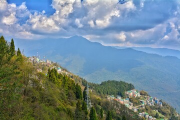 Fototapeta premium landscape in summer