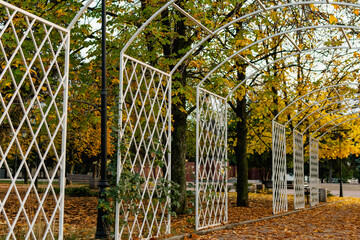 Walkway in the city's public Park. Beautiful white metal arch, lots of greenery, trees and conifers around, lawn grass along the edge, benches and lanterns. The road is tiled