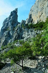 Croatia-view of a rocks in the Paklenica National Park