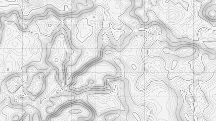 Background of the topographic map. Topographic map lines, contour map background. Geographic abstract grid. EPS 10 vector illustration. - obrazy, fototapety, plakaty
