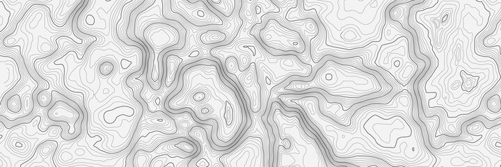 Background of the topographic map. Topographic map lines, contour map background. Geographic abstract grid. EPS 10 vector illustration.