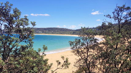 Fototapeta na wymiar Putty Beach Near the Bouddi Coastal Walk New South Wales Australia. Viewed Through Trees