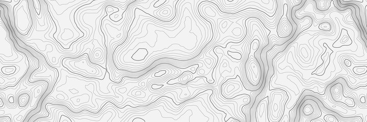 Background of the topographic map. Topographic map lines, contour map background. Geographic abstract grid. EPS 10 vector illustration.