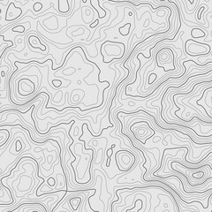 Background of the topographic map. Topographic map lines, contour map background. Geographic abstract grid. EPS 10 vector illustration.