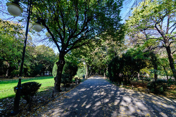 Fototapeta premium Landscape with the main alley with vivid green and yellow plants, green lime trees and grass in a sunny autumn day in Cismigiu Garden in Bucharest, Romania .