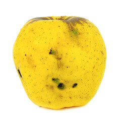 Spoiled Apple isolated on a white background. Macro photos with a large depth of field