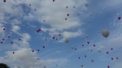 red and blue balloons