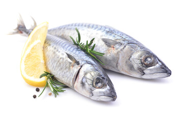 Fish mackerel on a white background